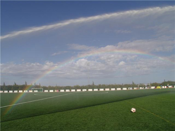 Estadio de Almodvar