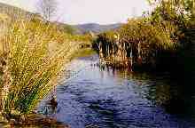 Rio Vascão ( Rui Santana )